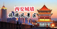 男人的机巴插入女人屁股里的软件中国陕西-西安城墙旅游风景区
